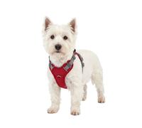 Knuffelwuff Pettorina regolabile per cani Trexor con maniglia S Rosso