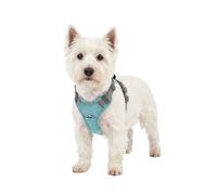 Knuffelwuff Pettorina regolabile per cani Trexor con maniglia S Verde menta