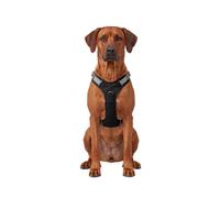 Knuffelwuff Pettorina regolabile per cani Trexor con maniglia XL Nero