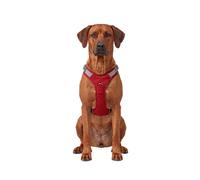 Knuffelwuff Pettorina regolabile per cani Trexor con maniglia XL Rosso