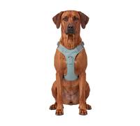 Knuffelwuff Pettorina regolabile per cani Trexor con maniglia XL Verde menta