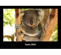 Koala 2026 Fotokalender DIN A3: Monatskalender mit Bild-Motiven von Haustieren, Bauernhof, wilden Tieren und Raubtieren