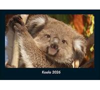 Koala 2026 Fotokalender DIN A4: Monatskalender mit Bild-Motiven von Haustieren, Bauernhof, wilden Tieren und Raubtieren
