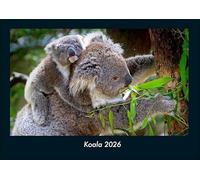 Koala 2026 Fotokalender DIN A4: Monatskalender mit Bild-Motiven von Haustieren, Bauernhof, wilden Tieren und Raubtieren