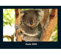 Koala 2026 Fotokalender DIN A4: Monatskalender mit Bild-Motiven von Haustieren, Bauernhof, wilden Tieren und Raubtieren