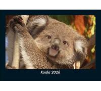 Koala 2026 Fotokalender DIN A5: Monatskalender mit Bild-Motiven von Haustieren, Bauernhof, wilden Tieren und Raubtieren