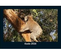 Koala 2026 Fotokalender DIN A5: Monatskalender mit Bild-Motiven von Haustieren, Bauernhof, wilden Tieren und Raubtieren