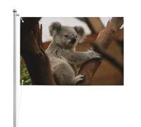 Koala carino sull'albero,Bandiera da giardino, bandiera decorativa da cortile, bandiera bifacciale, 2x3 piedi, per esterni e interni