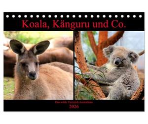 Koala, Känguru und Co. - Das wilde Tierreich Australiens (Tischkalender 2026 DIN A5 quer), CALVENDO Monatskalender: Wunderschöne, bunte Impressionen der Wildtiere Australiens.