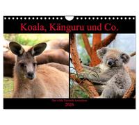 Koala, Känguru und Co. - Das wilde Tierreich Australiens (Wandkalender 2026 DIN A4 quer), CALVENDO Monatskalender: Wunderschöne, bunte Impressionen der Wildtiere Australiens.