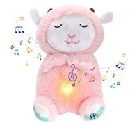 Koala Lenitivo, Lontra Che Respira e Rilassa, Koala Per Alleviare L'ansia, Peluche Koala con Luci Musicali e Respirazione Ritmic, Regali di Compleanno per Ragazze e Ragazzi