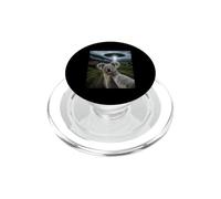 Koala Selfie con alieno UFO Divertente Meme PopSockets PopGrip per MagSafe