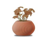 Koala Studio Céleste - Vaso Decorativo da Interno per Piante Sintetiche, Succulente e Cactus - Design Originale Piccolo Mini Vaso per Casa e Soggiorno