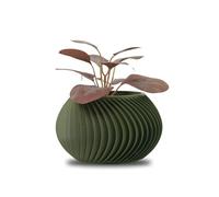 Koala Studio Céleste - Vaso Decorativo da Interno per Piante Sintetiche, Succulente e Cactus - Design Originale Piccolo Mini Vaso per Casa e Soggiorno