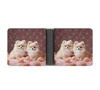 KOAYUBFC Portafoglio sottile compatto a due volte con cuccioli di Pomerania e portafogli in pelle a punta, portafogli minimalisti da uomo con porta carte di credito in pelle portamonete con finestra