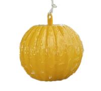 KOBONA Mosche della frutta e moscerini dei funghi Catturatore appiccicoso Insetti volanti Parassiti Trappole per moscerini Palla Colla appiccicosa Moscerino vespa Zanzare Insetti Trappola pe