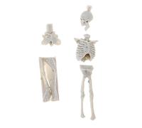 Kodxylytix Kit smontaggio non verniciato in resina modello scheletro modello mini scena