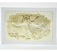 Kögler Scatola Luminosa 3D Ombra con Mondo Sottomarino, Multicolore