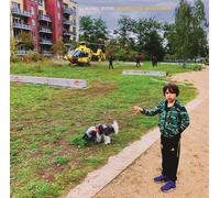 König Boris Disneyland After Dark