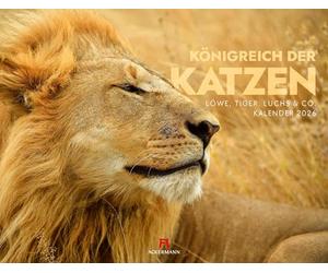 Königreich der Katzen Kalender 2026 | Löwe, Tiger, Luchs & Co | Bildstarker Tierkalender im großen Querformat (54x42 cm) | Raubkatzen in ihrem Habitat