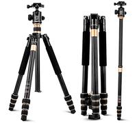 Kohlefaser-Stativ Leichte professional Kompakt-Reisekamera Kohlefaser-Stativ mit Kugelkopf mit geringer Schwerkraft, Stativ für Fotoausrüstung für Kamera