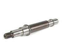 Kohler Lombardini PERNO INGRANAGGIO REGOLATORE ED0061300160-S