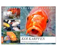 Koi Karpfen. Blickfang und Glücksbringer (Tischkalender 2026 DIN A5 quer), CALVENDO Monatskalender: Die farbenprächtigen Könige im Gartenteich