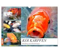 Koi Karpfen. Blickfang und Glücksbringer (Wandkalender 2026 DIN A3 quer), CALVENDO Monatskalender: Die farbenprächtigen Könige im Gartenteich