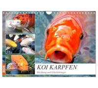 Koi Karpfen. Blickfang und Glücksbringer (Wandkalender 2026 DIN A4 quer), CALVENDO Monatskalender: Die farbenprächtigen Könige im Gartenteich