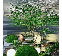 KOIAMVZW Albero Artificiale, Campana Giapponese simulato, Cavallo da Finestra Ubriaco in Legno in Legno Decorazione Esterna Interno Grande Albero Finto Paesaggio Piante Verdi H 2,8 m/9,1 Piedi