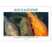 Koikichi Kalender 2027 (Wandkalender 2027 DIN A3 quer), CALVENDO Monatskalender