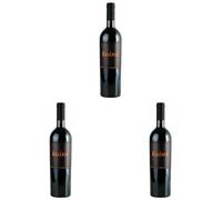 Koiné Primitivo di Manduria DOC - Vino Rosso Italiano - Bottiglia 750 ml - 14% Vol - Intenso, Morbido e Strutturato (Confezione da 3)