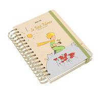 Kokonote Grupo Erik Diario Scuola 2021 2022 Il Piccolo Principe, Agenda Scolastica 2021 2022 Giornaliera con 12 Mesi, da Agosto 2021 a Luglio 2022, 21 x 14.8 cm