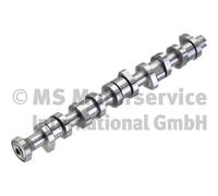 Albero a Camme KOLBENSCHMIDT 50006110 per VW 2,5l Tdi Bnz Bpc Bpd Bpe