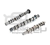 KOLBENSCHMIDT 50006337 Albero a camme