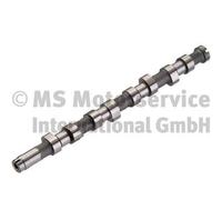 KOLBENSCHMIDT 50006389 Albero a camme