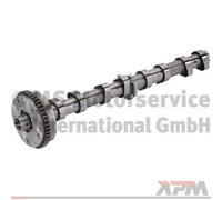 Kolbenschmidt 50007634 Albero A Camme Per VW Golf VI Skoda Octavia II Seat Audi