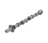 Kolbenschmidt Albero a Camme Peugeot 2,0 0801EZ Ahy (DW10CE) Ahz (DW10CD)