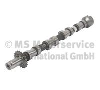 Kolbenschmidt Albero a Camme Peugeot 2,0 0801EZ Ahy (DW10CE) Ahz (DW10CD)