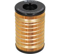 KOLBENSCHMIDT 50019073 Filtro carburante