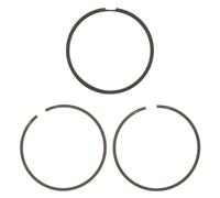 KOLBENSCHMIDT 800000810050 Kit fasce elastiche