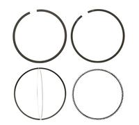 KOLBENSCHMIDT 800002511000 Kit fasce elastiche