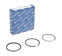 KOLBENSCHMIDT 800005611000 Kit fasce elastiche
