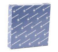 KOLBENSCHMIDT 800010810000 Kit fasce elastiche