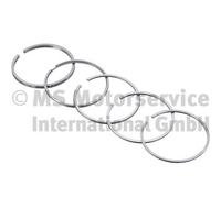Kolbenschmidt Kit fasce elastiche 800010910050