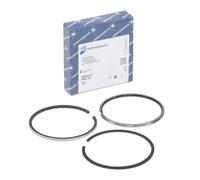 KOLBENSCHMIDT 800018411010 Kit fasce elastiche