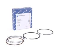 KOLBENSCHMIDT 800020710050 Kit fasce elastiche