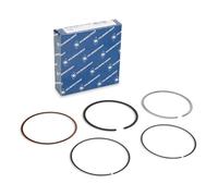 KOLBENSCHMIDT 800039410000 Kit fasce elastiche