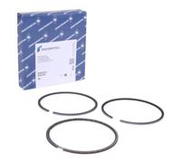 KOLBENSCHMIDT 800042710000 Kit fasce elastiche
