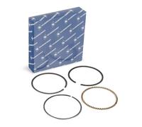 KOLBENSCHMIDT 800049210000 Kit fasce elastiche